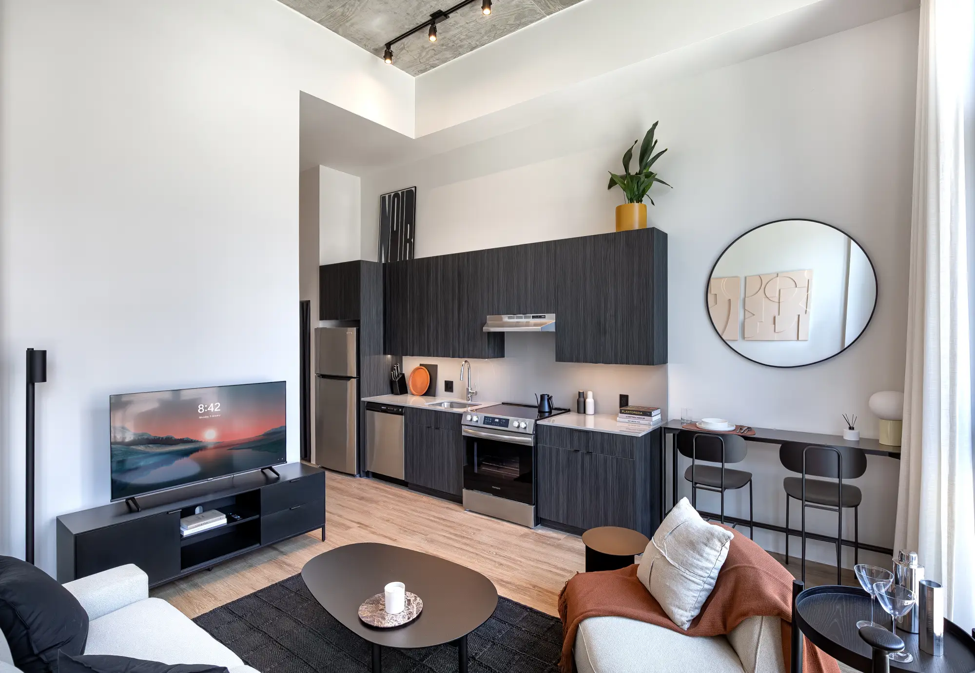 Penthouse at Straits Row - Chicago South Loop apartments